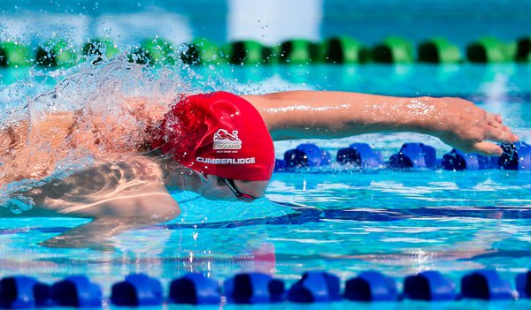 Getting to know: David Cumberlidge | Aquatics GB