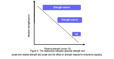 Strength And Power Matrix Strength and Conditioning | Para-Swimming | Aquatics GB