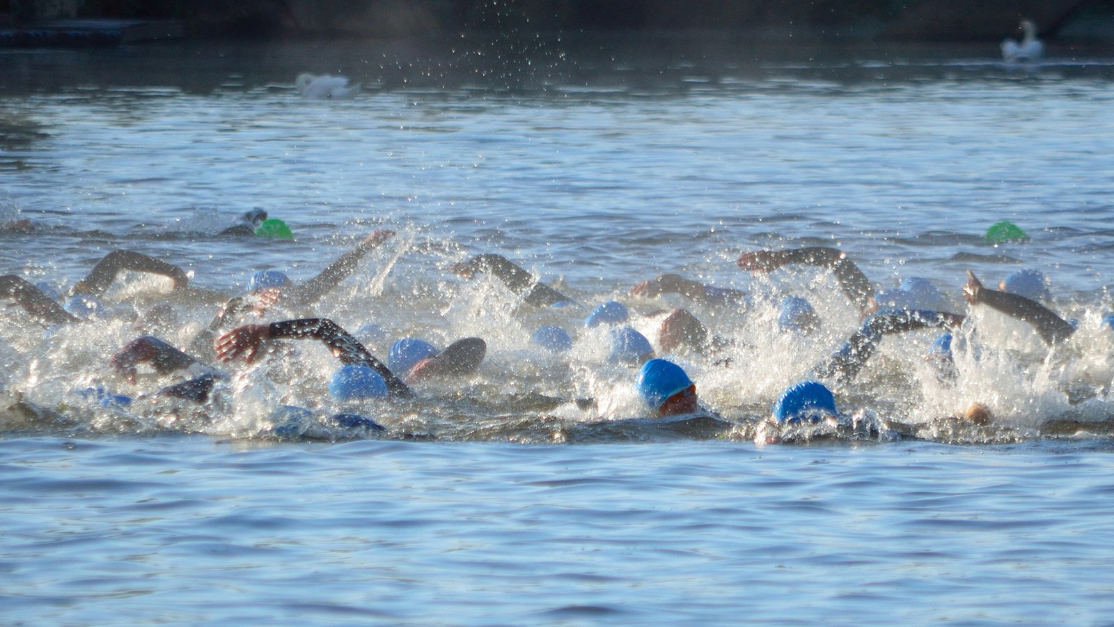 Update On European Junior Open Water Selections Swimming News